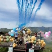 Салют дневной веерный Синий на определение пола 25 залпов